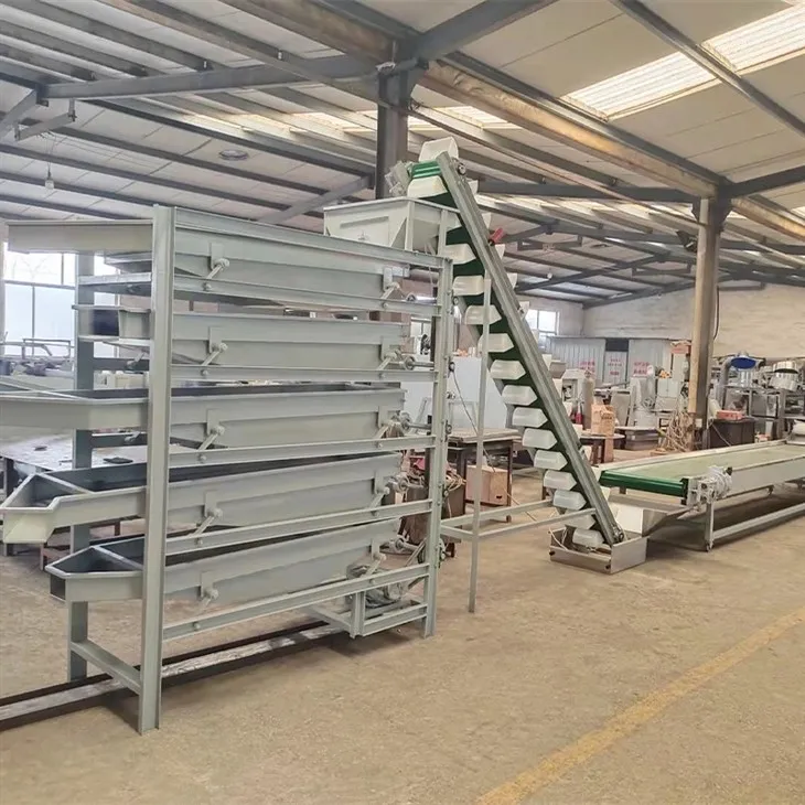 macadamia nuts processing plant